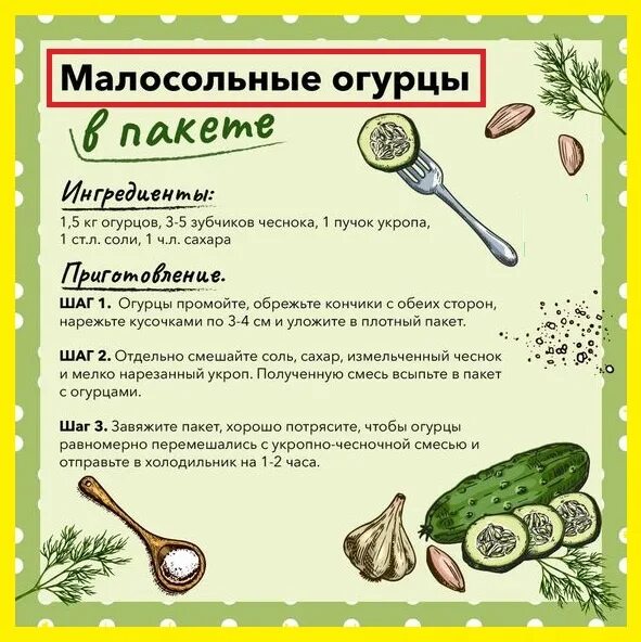 Рецепт малосольных огурцов в пакете с чесноком. Рецепт малосольных огурцов в пакете с чесноком
