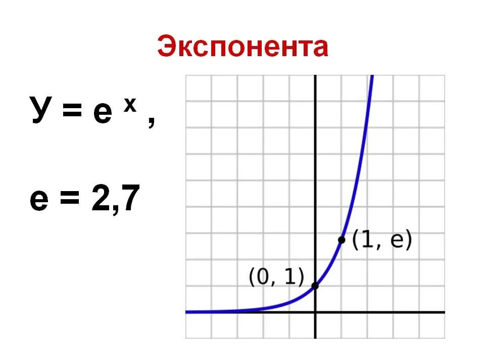 Экспоненциальный рост презентация 10 класс. График функции экспонента в степени x. График экспоненты в отрицательной степени. График функции е в степени х. График функции e в степени x.