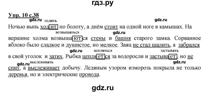 Гдз по русскому 1 класс стр 38. Русский язык 4 класс страница 38 номер 54. Русский стр 38 номер 4 1коас. Гдз русский 4 класс Желтовская. С 38 упр 3