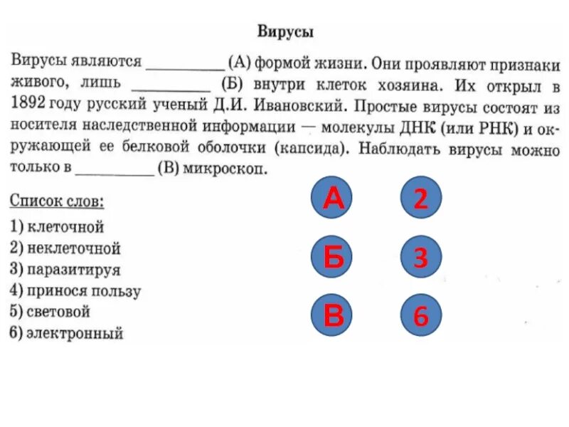 Список слов словосочетание впр биология 6 класс. ВПР биология 6 класс. ВПР биология 5 класс. ВПР по биологии 6 класс деление клетки. Рост клетки 6 класс биология ВПР.