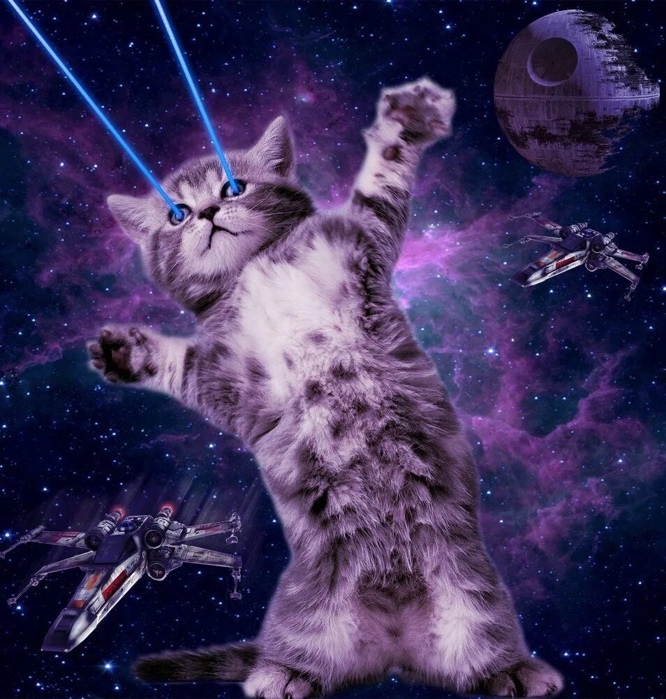 Космический кот. Кот в космосе. Котенок в космосе. Галактический кот. Веселое про космос
