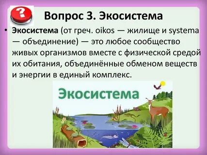 Сочинение от имени какой либо экосистемы