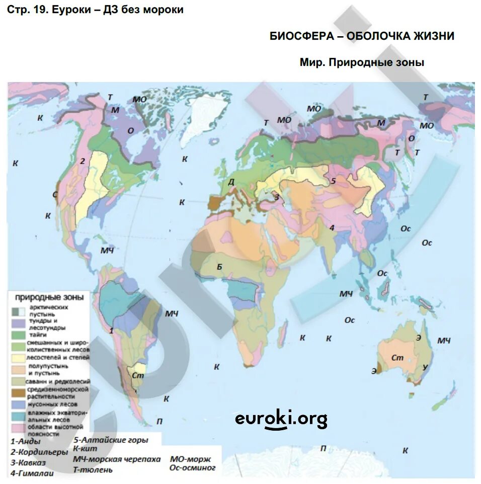 Контурная карта по географии 6 класс Дрофа Биосфера. География 6 класс контурная карта страница 18 19 Биосфера.