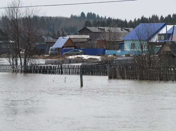 Село Кочево Пермский край. Река Лопва Пермский край. Село Юрла. Кочево плюс Пермский край. Погода в юрле пермский на неделю