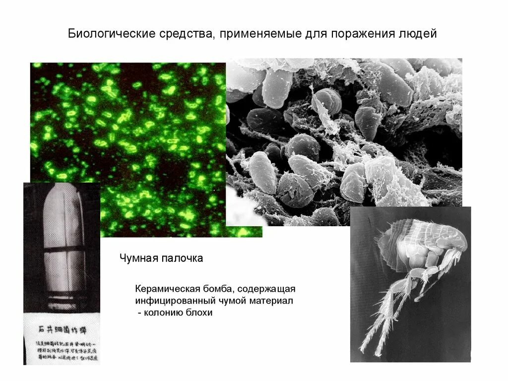 Свойства биологического оружия. Биологические средства. Диалогические средства. Биологические средства поражения. Бактериологические препараты.