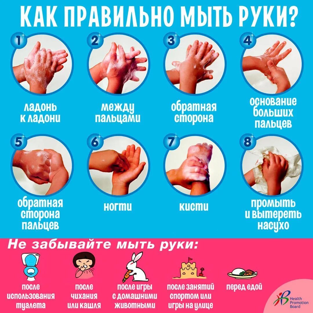 Как правильно мыть. Как правильно мыть руки. как правильн оымт ьруки. памятка как правильно мыть руки. правила мытья рук.
