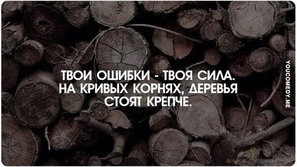 Живи без ошибок