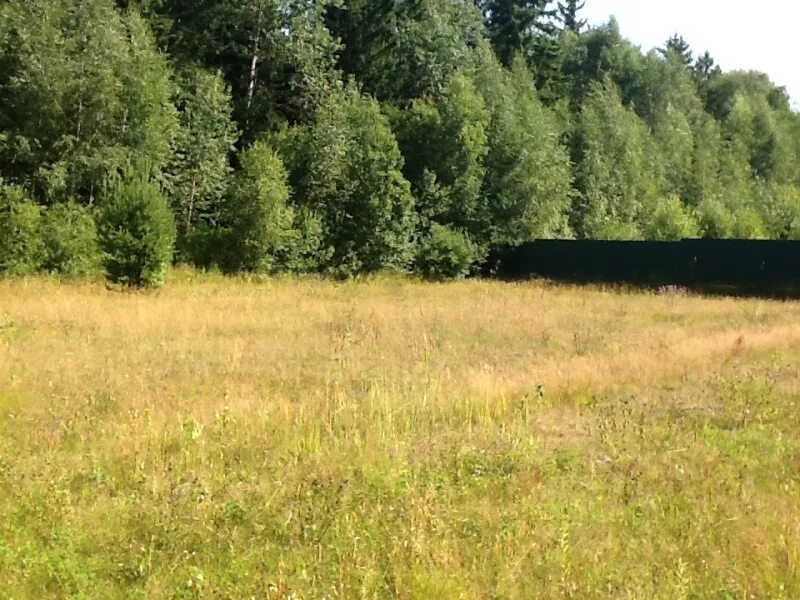 снт кутузовский кранкино. большие кутузовское сельское поселение. ксенон завод солнечногорский. с п кутузовское солнечногорский. ксенон брехово.