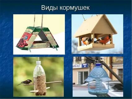 Проект кормушка для птиц 3 класс