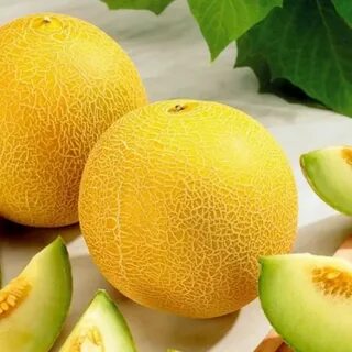 Дыня семеновская