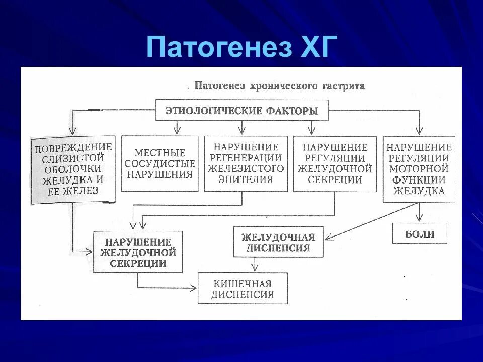 Схема патогенеза гастрита. Гастрит патофизиология. Патогенез хронического неатрофического гастрита. Патогенез катарального гастрита. Гастрит патофизиология.