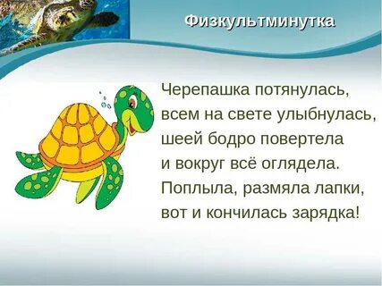 Черепаха ответ
