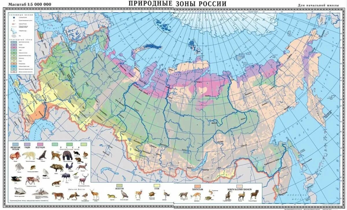 Карта природных зон России 2022. Карта природных зон России 2023. Карта природных зон России 4. Природные зоны России атлас 8. Обозначения природных зон на карте 4 класс