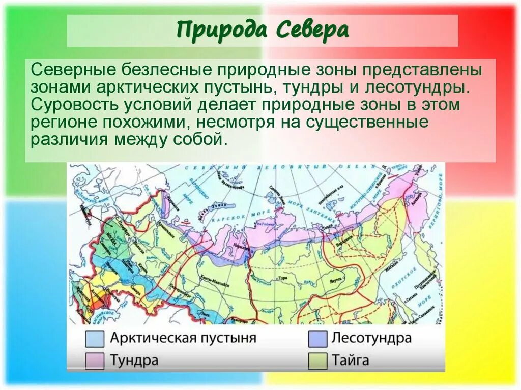 Какая зона располагается в самой северной части. Природная зона Арктическая тундра на карте. Природные зоны Арктики тундры и лесотундры. Арктические пустыни географическое положение на карте России. Безлесная природная зона.