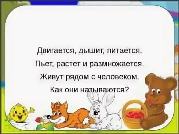 Питается размножается растет