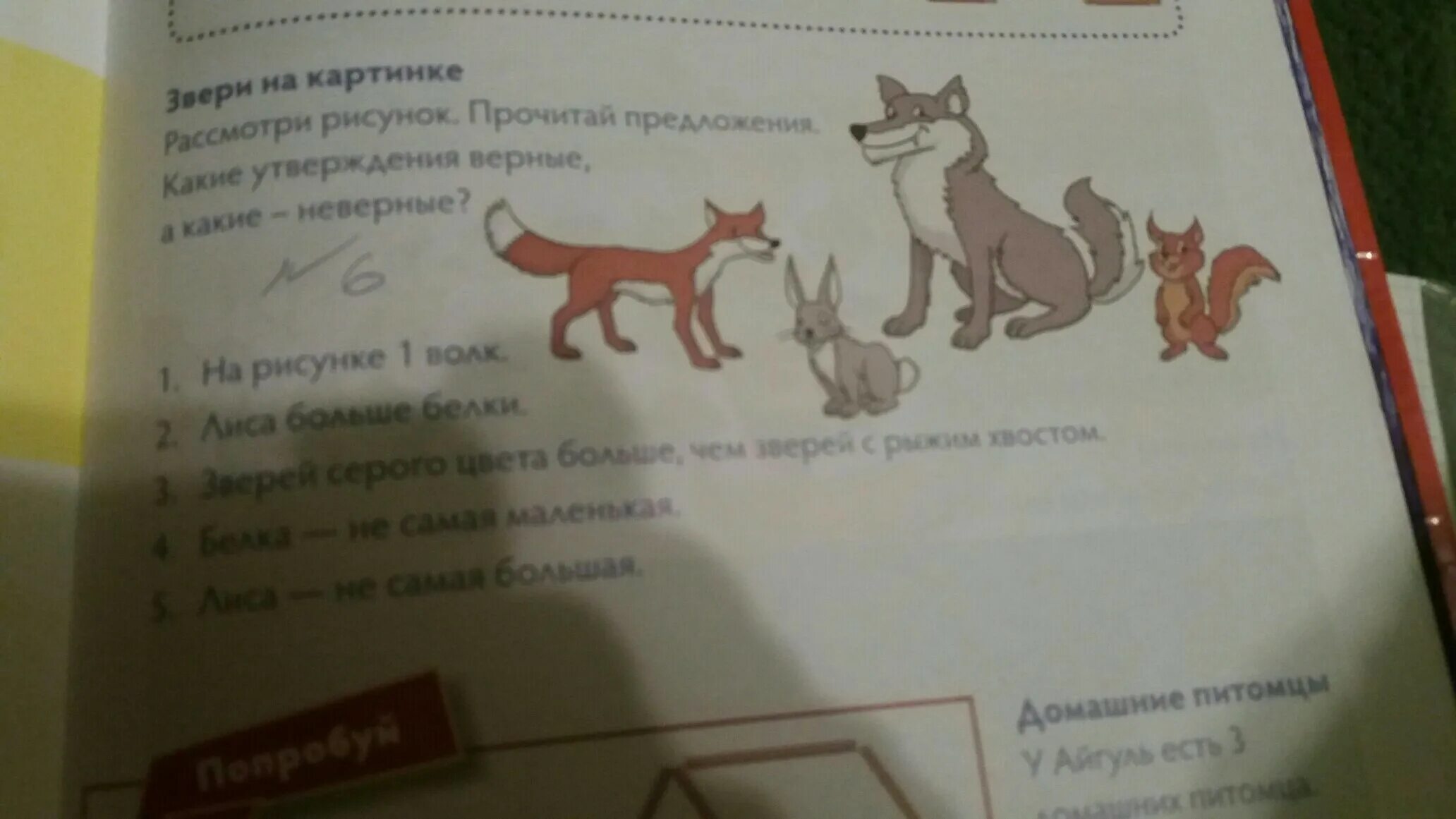 Предложение животных. Рассмотри рисунки прочитай. предложение животные. предложение о зверей 1 класс. про жвотние предложение.