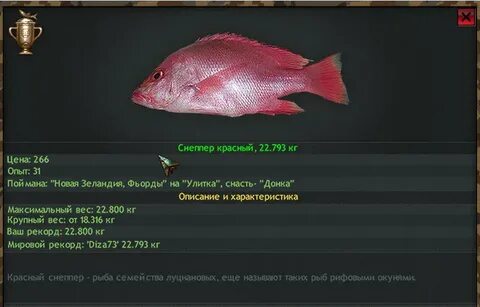 Snapper перевод