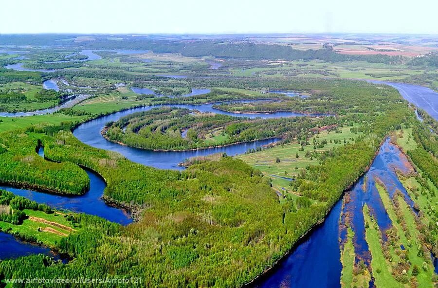 Откуда берет начало река сура. Река Сура Ульяновская область. Река Сура в Чувашии. Сура (приток Волги) в Пензе. Река Пенза , приток Сура.