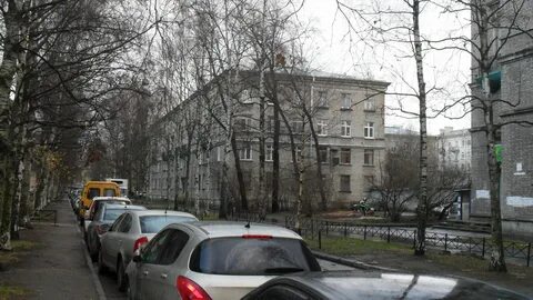 Сестрорецкая улица спб