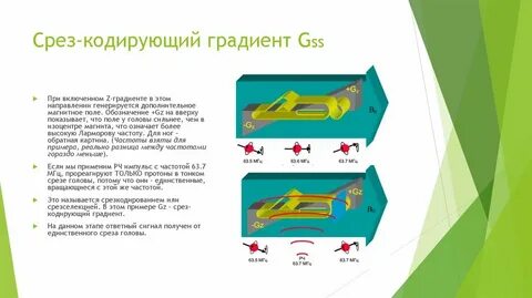 Примеры среза