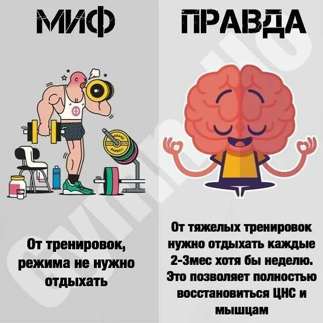 Мифы о здоровом питании. Миф правильно. Интересная еда. Мифы о питании. Факты о питании.