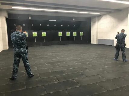 Тир скибиди