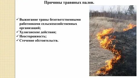 Есть слово пал