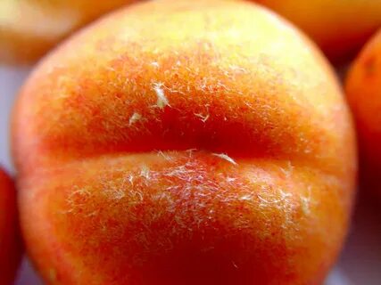 Scarica immagine gratuita di peach FreeImages