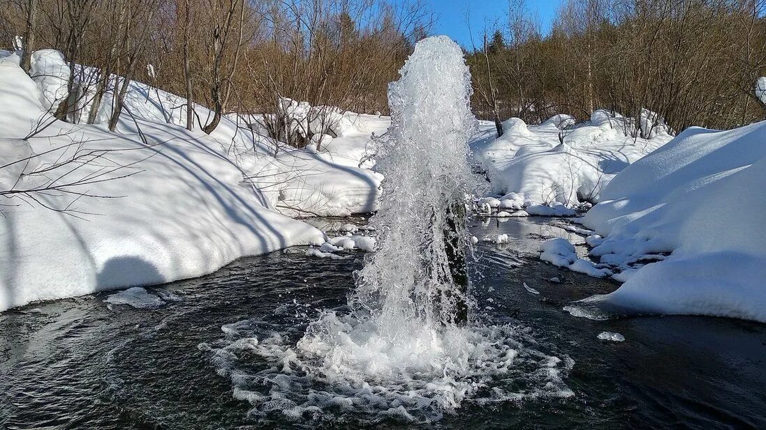 Комилесбизнес пузла. Пузлы. Пузлы. Пузла республика коми. Поселок пузла республика коми.