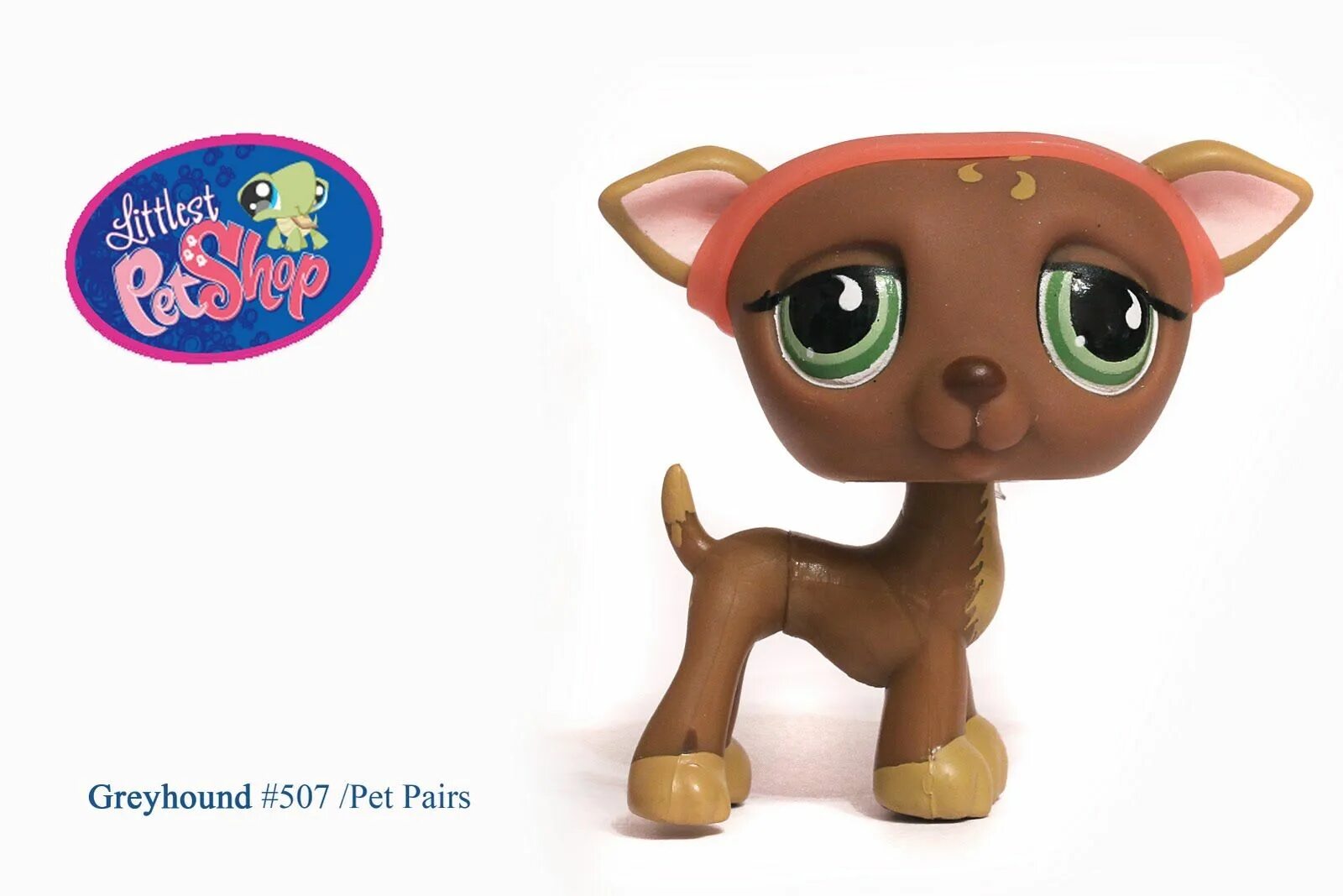 Пет пал. Littlest Pet shop 3011. Little Pet shop 1216. Littlest Pet shop 1128. LPS 8w8g3.