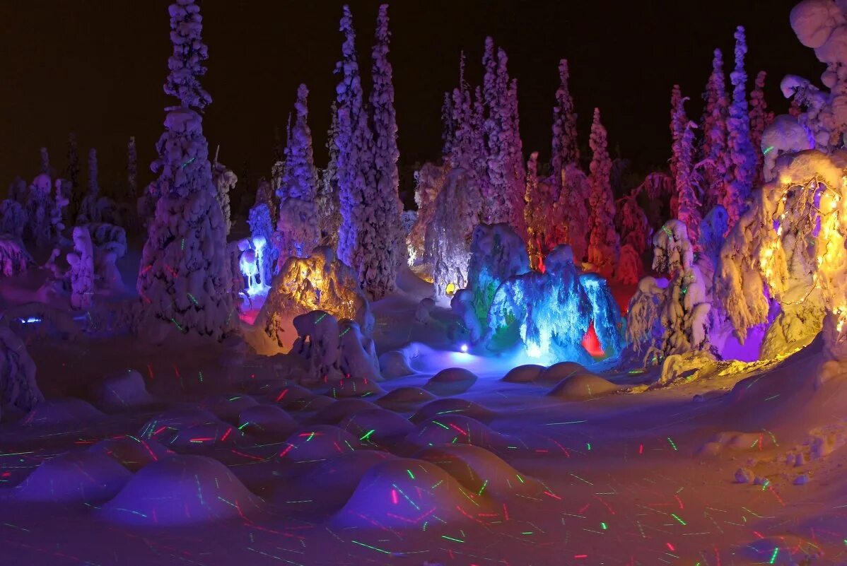 коралловый светодиодное свечение. таинственный лес кировск мурманская. таинственный лес кировск мурманская область. таинственный лес кировск мурманская область. таинственный лес кировск режим работы 2023.