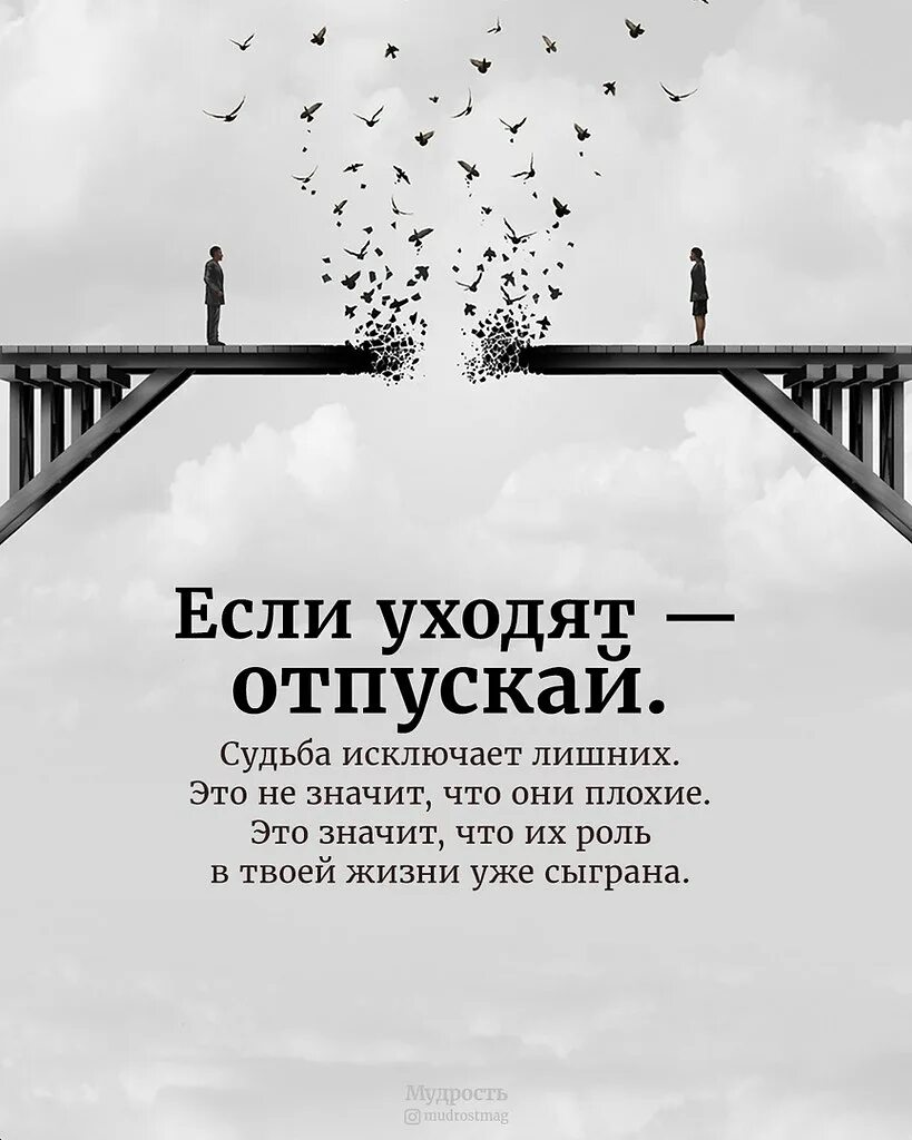 такова моя воля если человек. острые козырьки цитаты с картинками. острые козырьки фразы. исключить из жизни. избавляйтесь от токсичных людей в своей жизни.