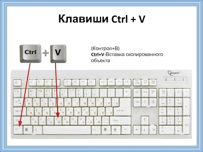 Кнопки для копирования и вставки на клавиатуре. Кнопка Ctrl на клавиатуре. Правый контрол на клавиатуре. Копирование на клавиатуре клавиши.