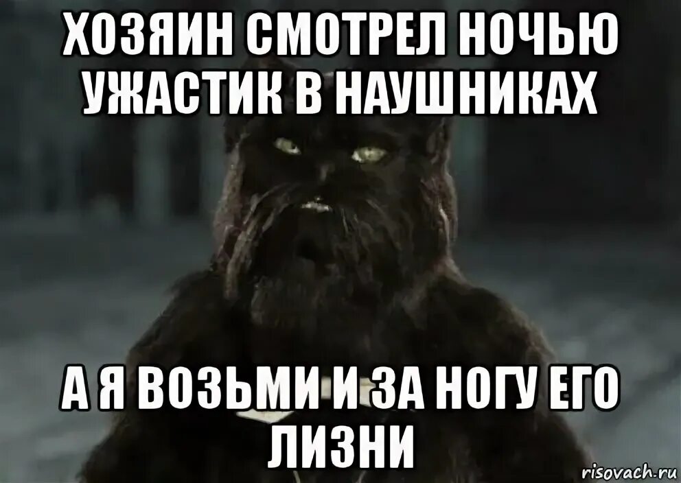 Никого не трогаю починяю примус цитата. Кот бегемот. примус починяю. кот бегемот из мастера.