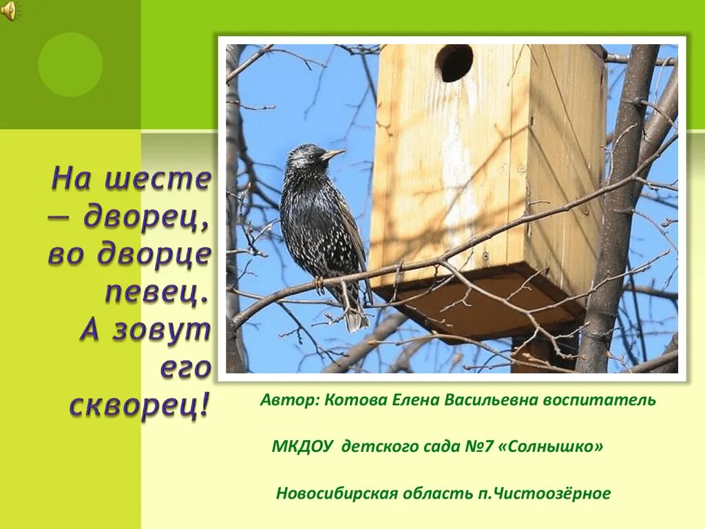 А зовут его скворец на шесте дворец. На шесте дворец во Дворце певец а зовут его скворец. Загадка на шесте дворец во Дворце певец а зовут. На шесте дворец во дворе певец. Загадка о скворце 2