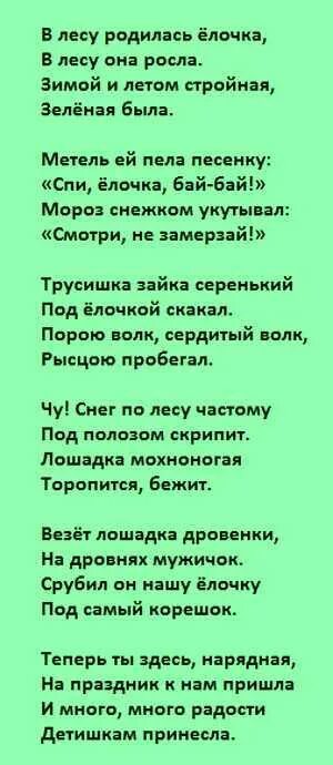 Елочка песня детская текст песни. В лесу родилась ёлочка текст. Текст песни в лесу родилась елочка. Песенка в лесу родилась ёлочка текст. В лечу родилась нлоскатекст.