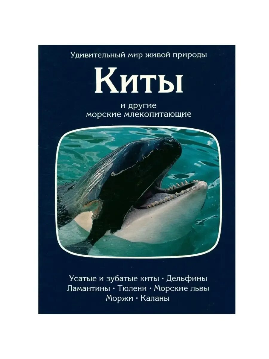 Книги про китов и дельфинов для детей. Книга кит отзывы. Список книг киты. Книга кит отзывы. Книга с китом на обложке.