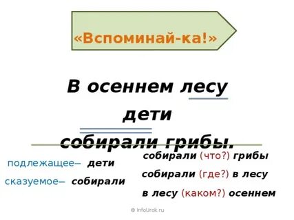 Осенней какой род