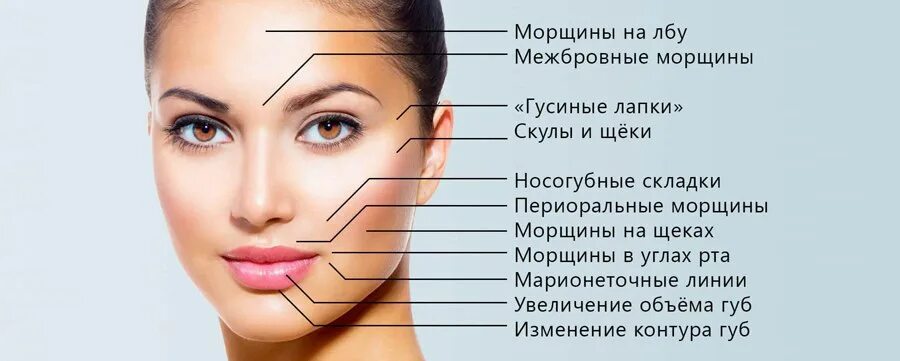 Нижние скулы лица. Части лица скулы. Части лица скулы. Точки уколов ботокса на лице схема. Лицо части лица.