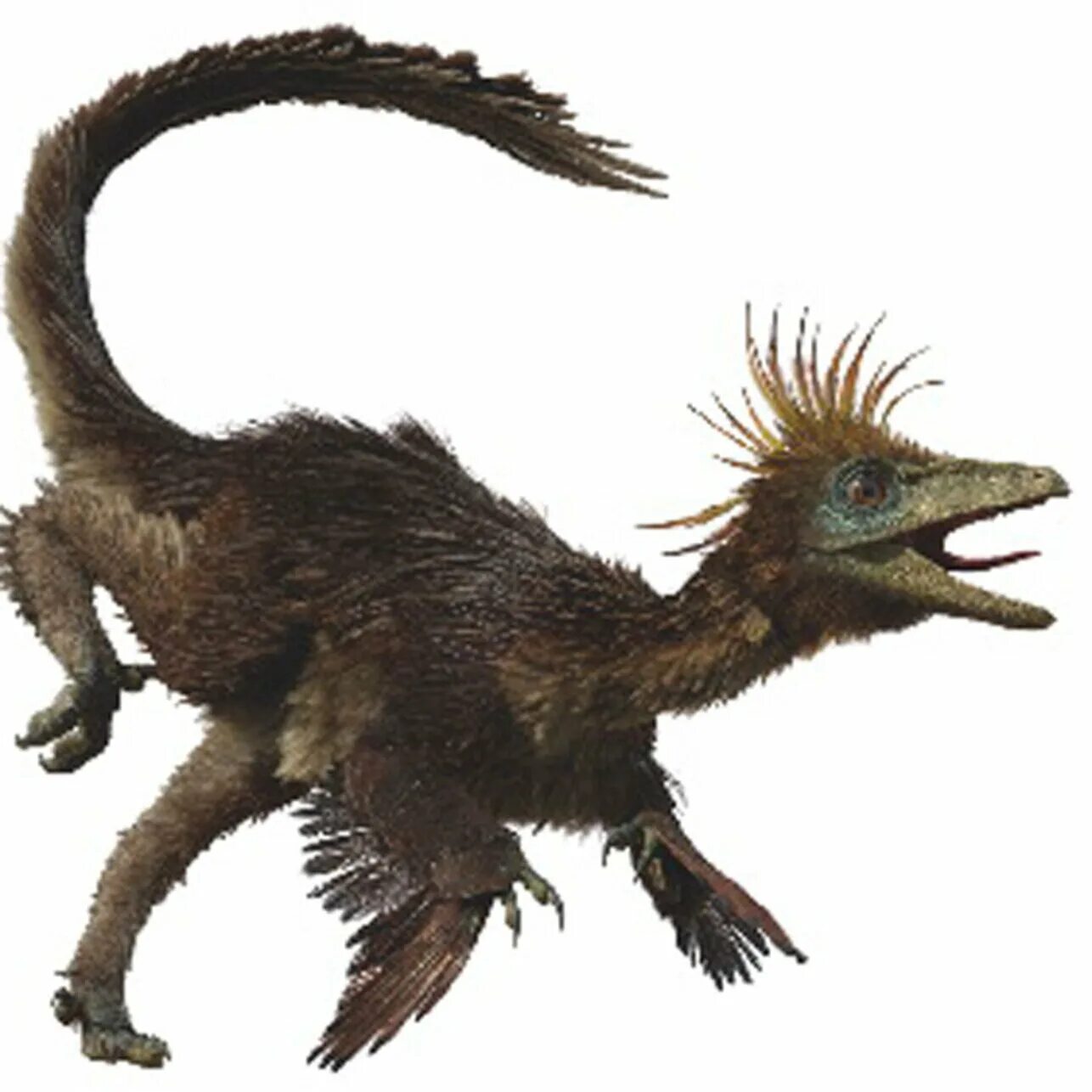Знатоки динозавров. Стенонихозавр (Троодон). Троодон динозавр Jurassic World. Троодон динозавр разумный. Троодон игрушка.