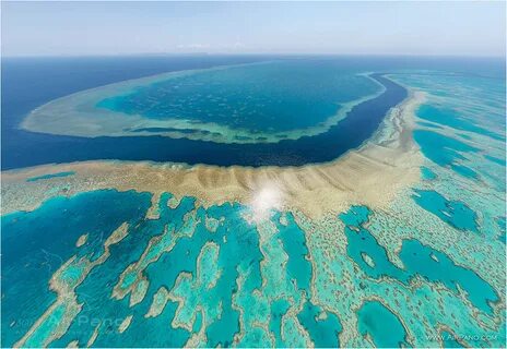 Самое крупное море мирового океана