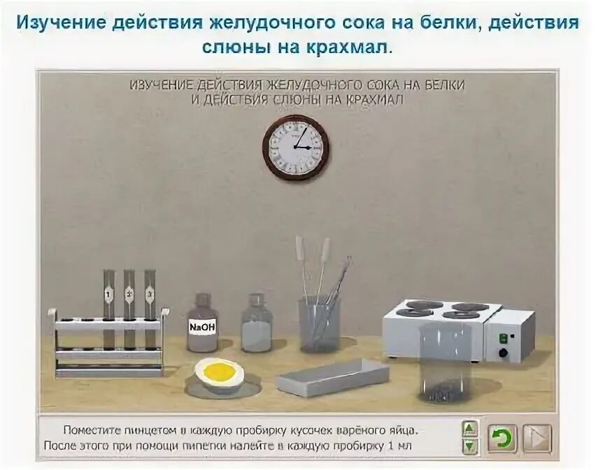 Лабораторная работа желудочный сок. Воздействие желудочного сока на белки лабораторная. изучение действия желудочного сока на белки. воздействие желудочного сока на белки лабораторная работа. изучение действия ферментов желудочного сока на белки.
