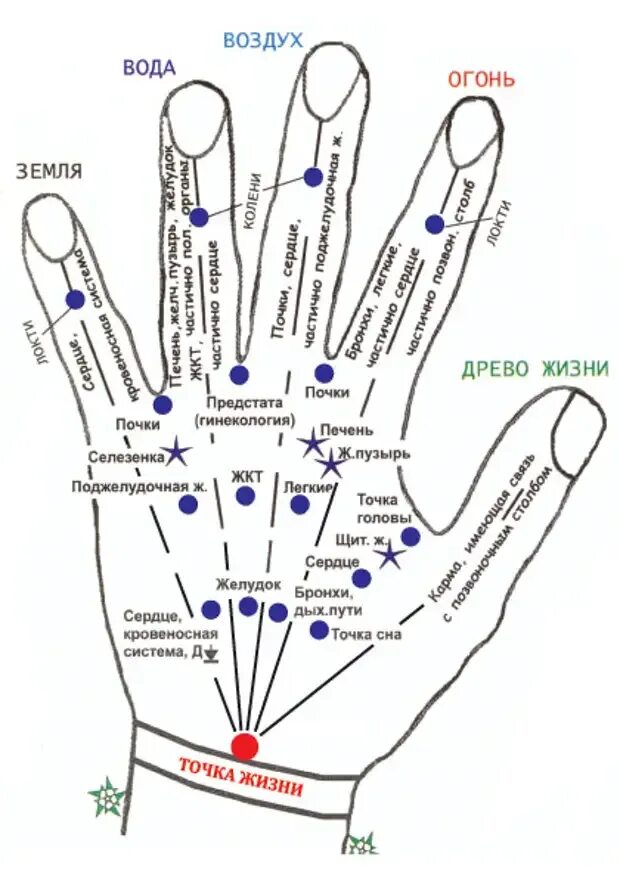 Точки на пальцах что значат. Точки акупунктуры на ладони. Схема биологически активные точки ладоней рук. Точки акупунктуры на ладони человека. Схема акупунктурных точек на ладони.