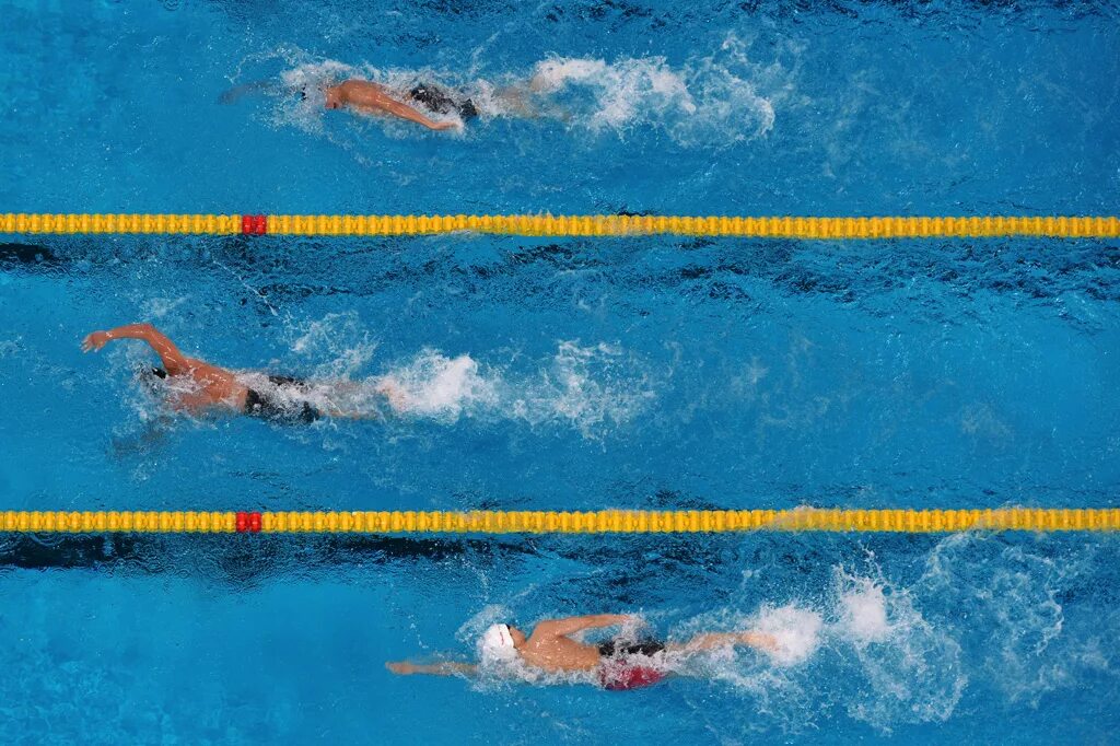 Дистанции в плавании. Плавание на короткие дистанции. Олимпийские дистанции в плавании.