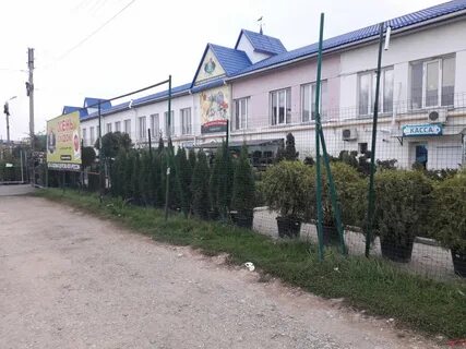 Ул прогресса 73 поселок горячеводский