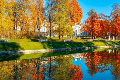 Провести время в пушкине