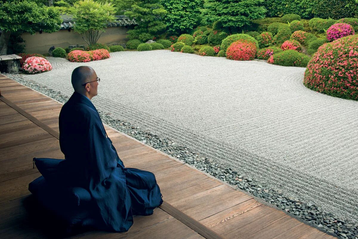 Zen дата выхода