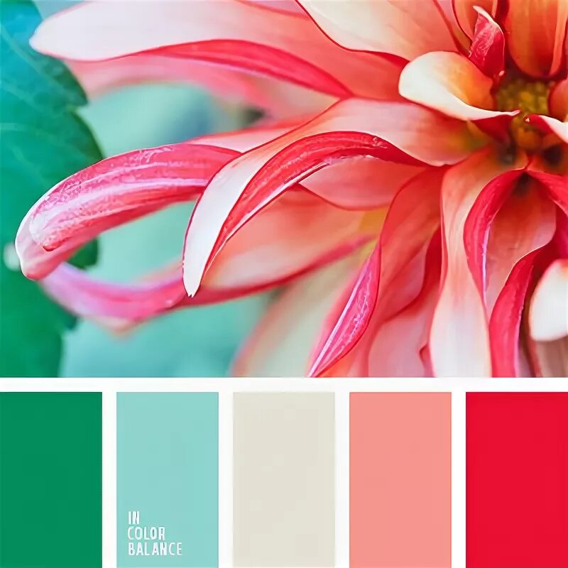 Цветовая палитра № 4164 Color palette bright, Summer color palettes, Red colour 