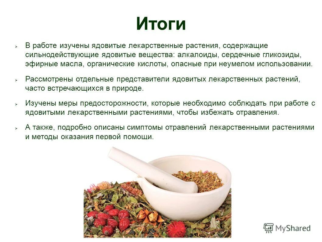 Сильнодействующие и ядовитые растения. Ядовитые трубчатые растения. Сильнодействующие и ядовитые растения. Волчье лыко, волчьи ягоды, вороний глаз, ягоды ландыша. Отравление лекарственными травами.