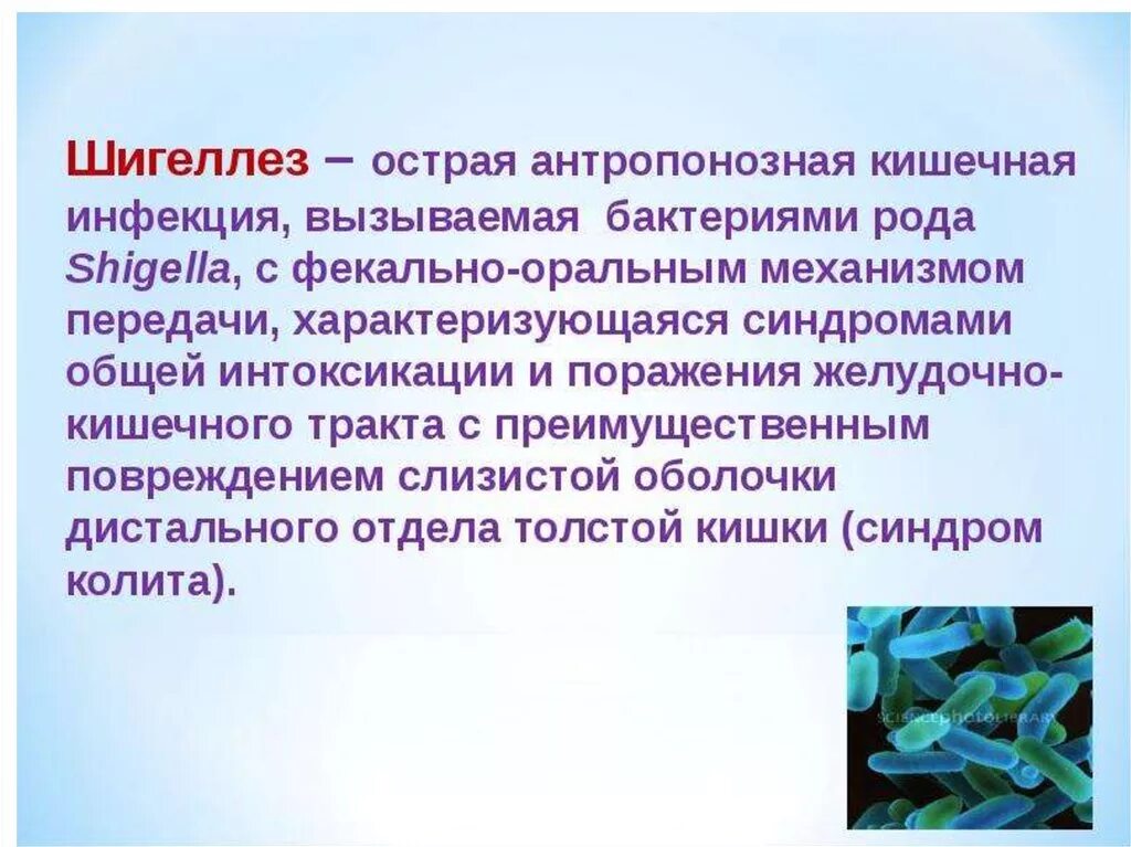 Дизентерия вирусное заболевание. Шигеллез презентация. Кишечные инфекции дизентерия. Дизентерия инфекционные болезни. Возбудители кишечных инфекций шигеллы.